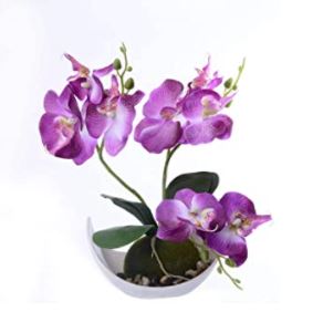 orquideas de decoracion
